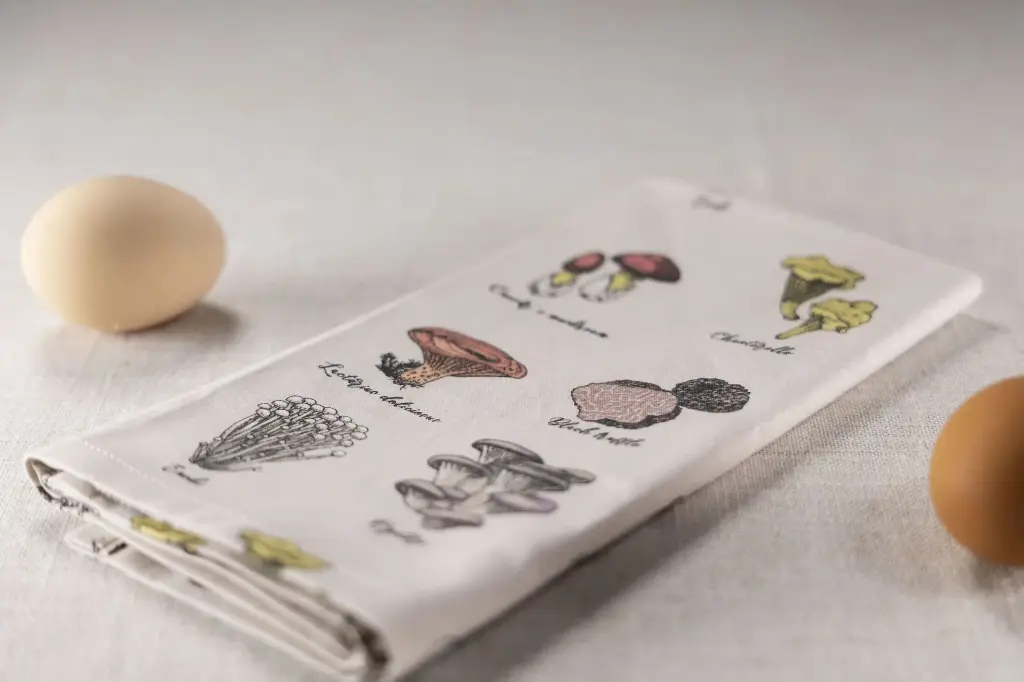 The Fungus Among Us (Individual)